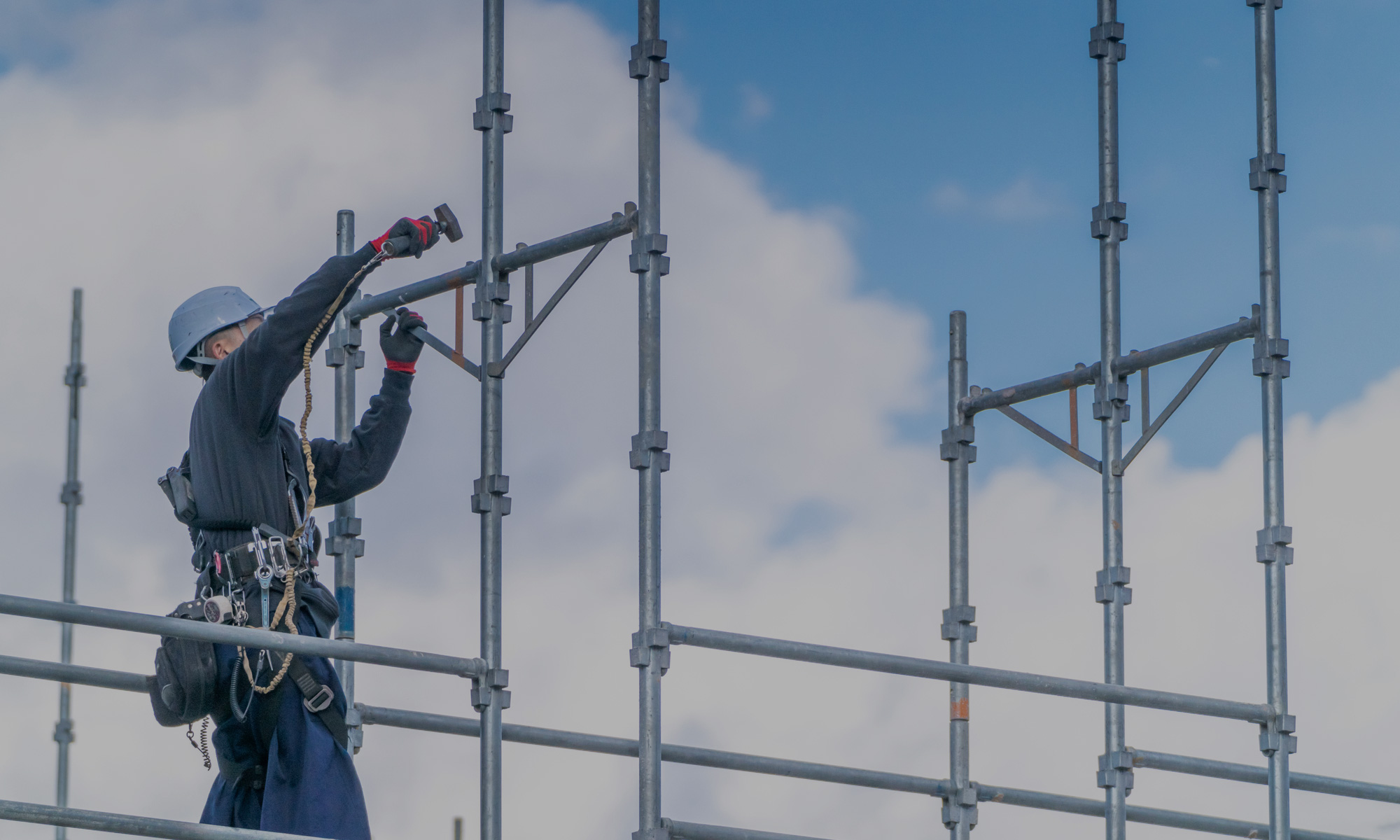 para02_bg